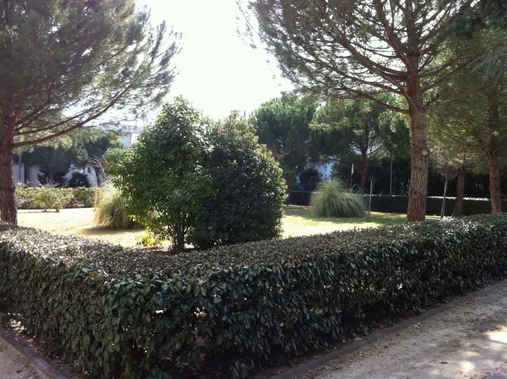 81f0bf558b494c615e693a9d8450e9f6