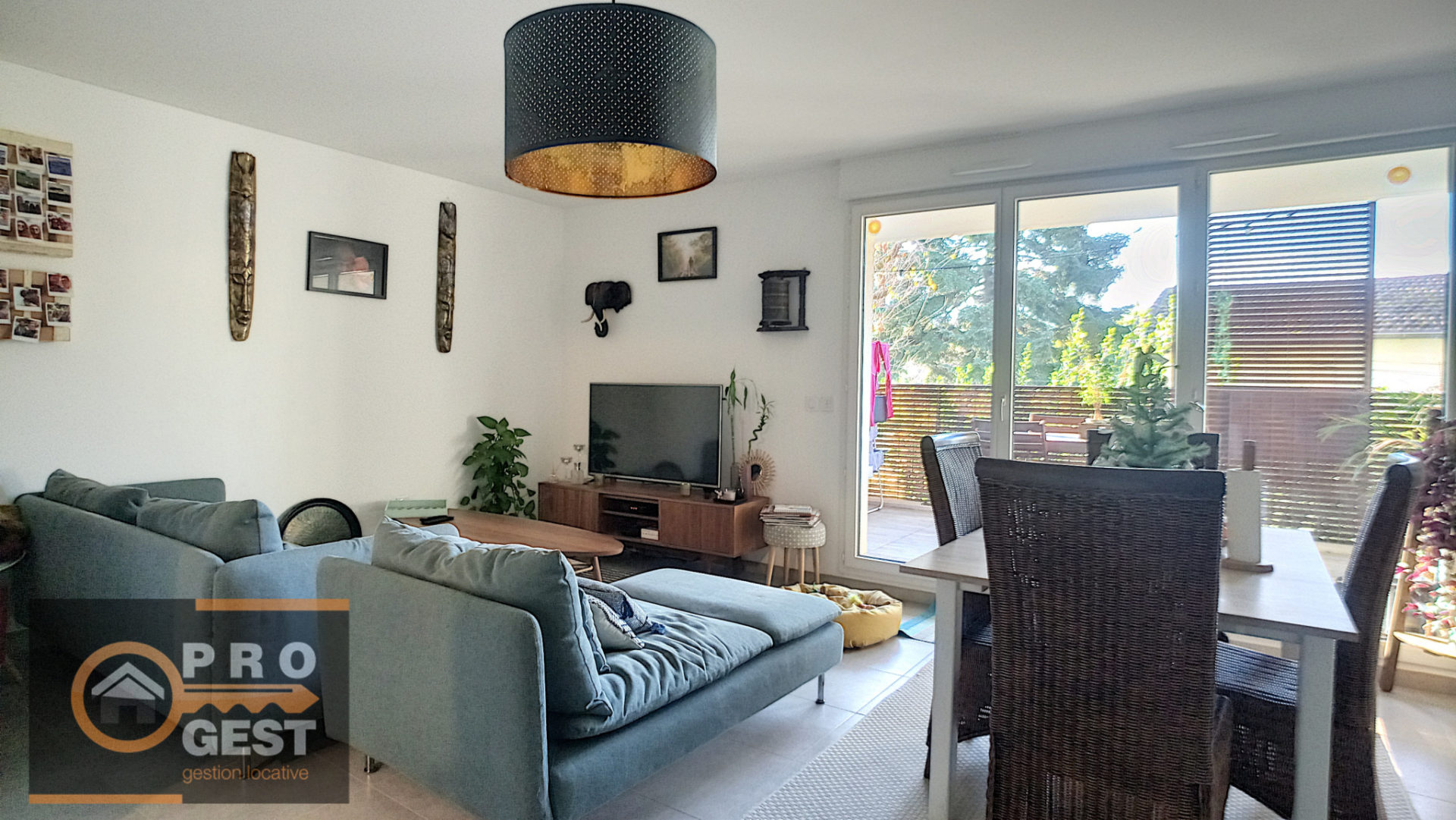 photo_246ed45fe8bbfa7e481c6ec5462ddfcd